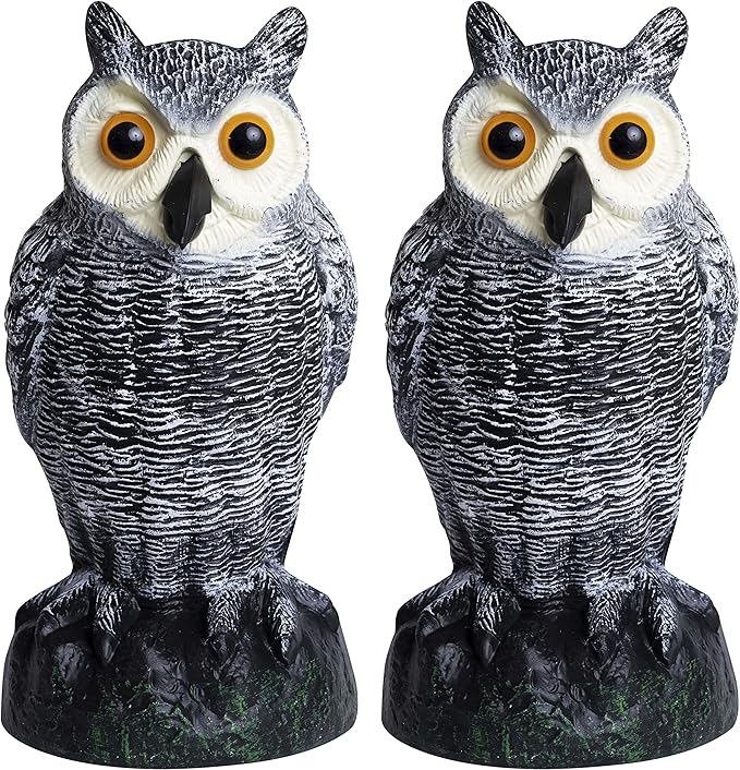 Galashield Owl Decoy to Scare Birds Away | Plastic Owls to Scare Birds Away | Owl Statue for Garden & Outdoors [Set of 2]