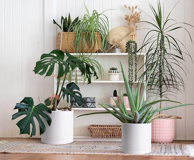 D'vine Dev 2 Pack 10 Inch Modern Plastic Plant Pots, Small Garden Planters for Plant with Drainage Holes and Saucers, White Color, 74-Z-N-1