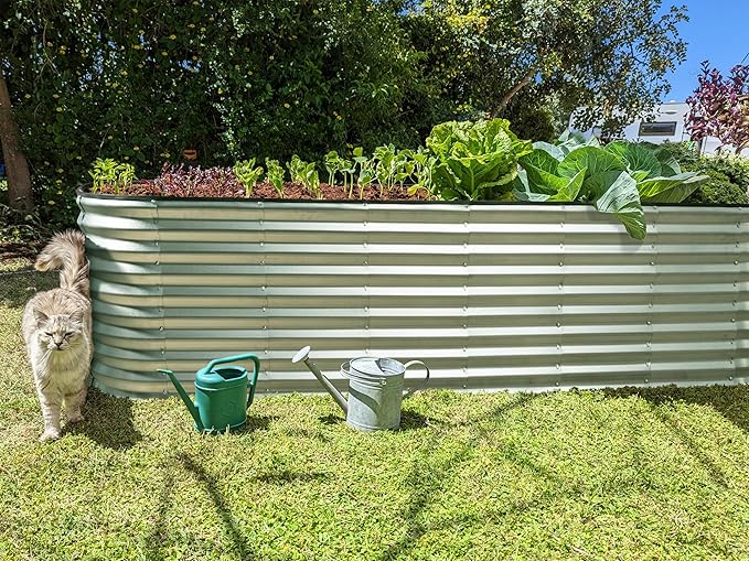 Galvanized Raised Garden Beds Outdoor // 8×2×2 ft Planter Raised Beds for Gardening, Vegetables, Flowers (Silver) // Large Metal Garden Box // Patented Tool-Free Design