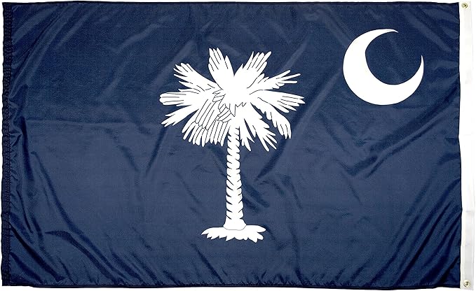 FlagSource South Carolina State Flag, Made in USA, 4x6'