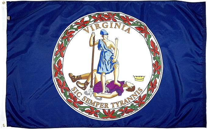 FlagSource Virginia Nylon State Flag, Made in USA, 4x6'